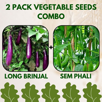 Infiniteseeds 2 Pack Combo Of Long Brinjal And Sem Phali Vegetable Seeds Seed(50 per packet)