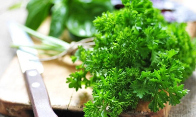 SOWCAN Leaf parsley - Moss Curled Seed(100 per packet)