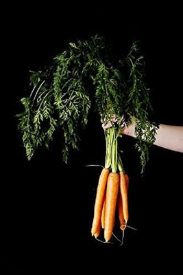 CRGO GAAJAR, CARROT Seed(100 per packet)