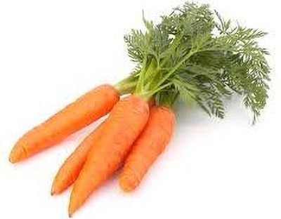 SeedHaven Carrot fresh organic Seed(100 per packet)