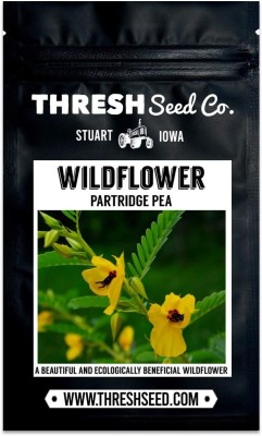 Qualtivate ICRA-2A Partridge Pea Seeds Seed(200 per packet)