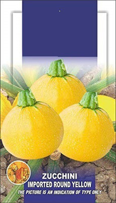 WILLVINE GUA-697 ZUCCHINI ROUND TONDO SEEDS Seed(100 per packet)