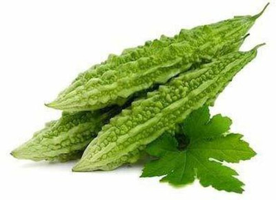KANAYA Long Bitter Gourd / Karela/ Pavakai Seed(18 per packet)