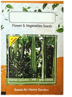 VibeX Disease Resistant Ridge Gourd F1 Hybrid Seeds[50 Gms, 250 Seeds] Seed(250 per packet)