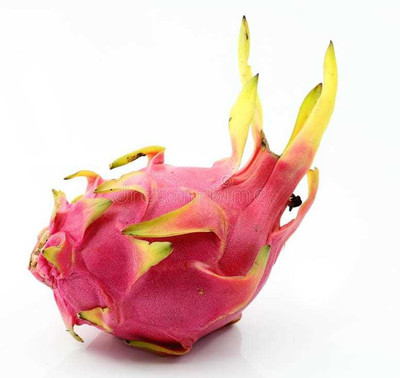 Oliver f1 QUALITY dragon fruit Seed(45 per packet)