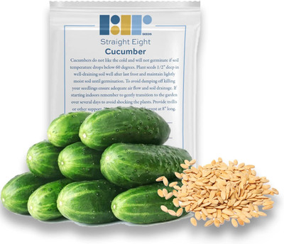 Qualtivate PUA-7A Straight Eight Cucumber Seeds Seed(300 per packet)
