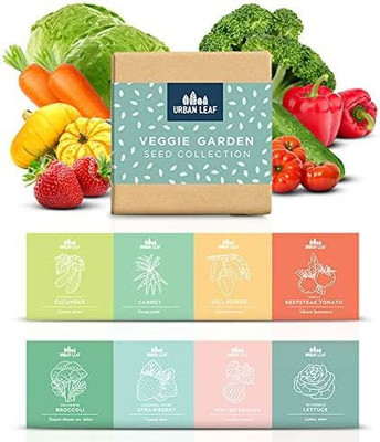 CYBEXIS Drought-Tolerant, Pest-Resistant Vegetable Seeds Seed(10 g)