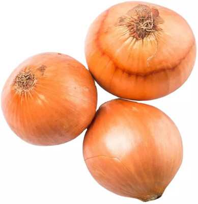 WATIKA Onion yellow onion Seed(2000 per packet)