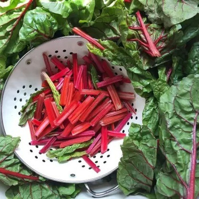MAA Swiss Chard, Chard Seed(15 per packet)