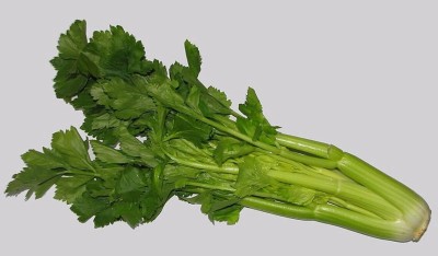 Quentova Celery large leaf organic-4I-HQ Seed(150 per packet)