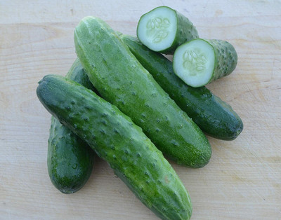 WHYGI Slicing Cucumber,Heirloom Seeds-CuC_1189 Seed(250 per packet)
