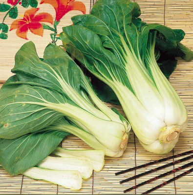 Atlus Pak Choi Seeds -Hanakan Seed(80 per packet)