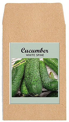 CYBEXIS Hybrid Vegetable Seeds-Cucumber White Spine1000 Seeds Seed(1000 per packet)