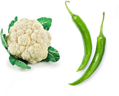 PSAgroinput PhoolGobhi-Chili Seed(100 g)