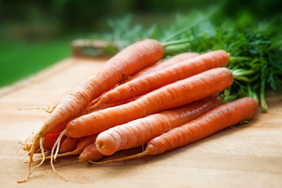 CYBEXIS LX-98 - Carrot Tendersweet - (750 Seeds) Seed(750 per packet)