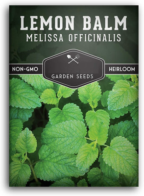 CYBEXIS KGF -71 - Lemon Balm Melissa Herbs - (250 Seeds) Seed(250 per packet)