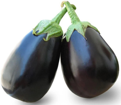 UGRA Brinjal Seed(150 per packet)