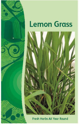 CYBEXIS PAU-28 - Lemongrass Cymbopogon Flexuosus - (2250 Seeds) Seed(2250 per packet)