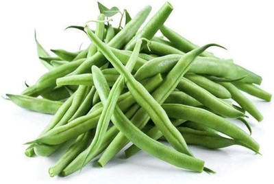 CYBEXIS Organic Bean Seeds400 Seeds Seed(400 per packet)