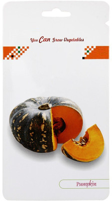 CYBEXIS Pumpkin F1 Hybrid Seeds400 Seeds Seed(400 per packet)