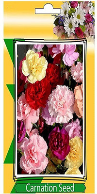 CYBEXIS Carnation Flower Mixed Colour F1 Hybrid Seeds Good Germination Seed(50 per packet)