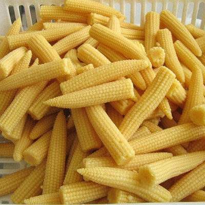 CRGO SWEETCORN , CORN , MAKKA Seed(125 per packet)