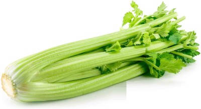 CEZIUS Ajmoda ke beej Organic Green Celery Vegetable Seed(65 per packet)