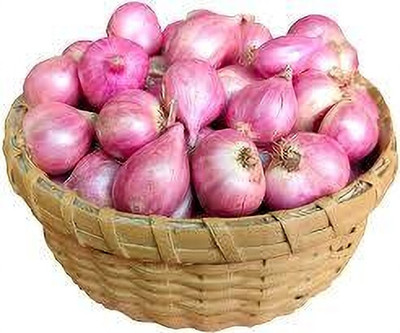 SeedHaven onion fresh Seed(100 per packet)