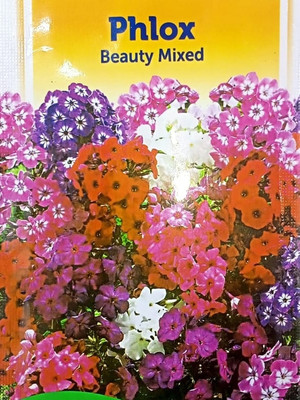 KRASHAK Phlox flower seeds Seed(2 per packet)