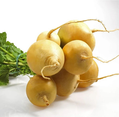 eShoptail Turnip Golden Yellow Seeds Seed(5 g)