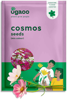UGAOO Cosmos Flower Seed(100 per packet)