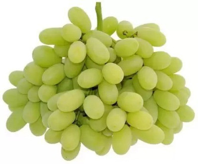 MAA Grapes, Green Grapes Seed(43 per packet)