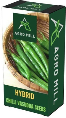 WILLVINE HAR -VIII CHILLI VASUDHA/GREEN CHILLI/HARI MIRCH [2.5gm, 500 Seeds] Seed(500 per packet)