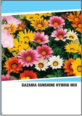 CYBEXIS Hybrid Gazania Sunshine Mix Seeds(120 Seeds) Seed(120 per packet)