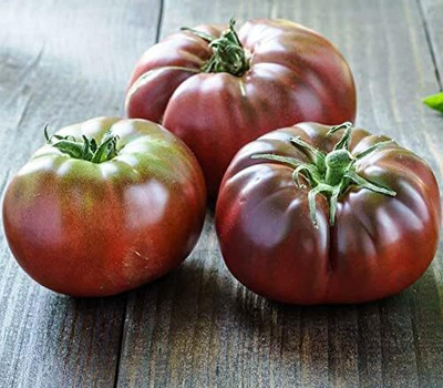 KNESSiN Open-Pollinated Black Prince Tomato Seeds For Gardening - (400 Seeds) Seed(400 per packet)