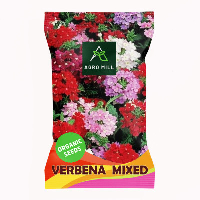 AGRO MILL VERBENA/VERVAIN MULTIFLORA MIXED PREMIUM QUALITY FLOWER Seed(50 per packet)