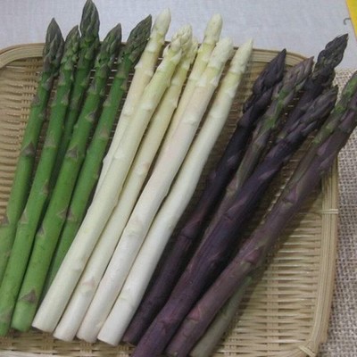 KNESSiN Asparagus Planted Throughout The Year[200 Seeds] Seed(200 per packet)