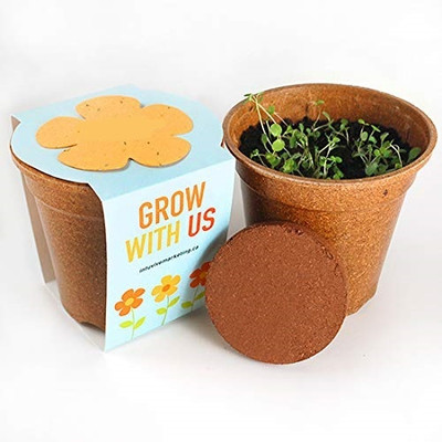 CRGO GERMINATION KIT Seed(37 per packet)