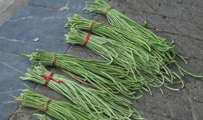 GREENSEA Long Bean/Barbati Seeds for Planting, High Yield Seed(62 per packet)
