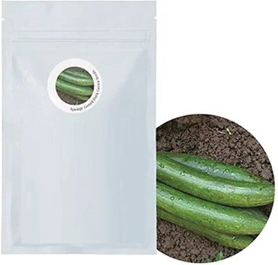 Qualtivate EXL-4AT Sponge Gourd,Gilki,Turai Ke Beej Seed(50 per packet)