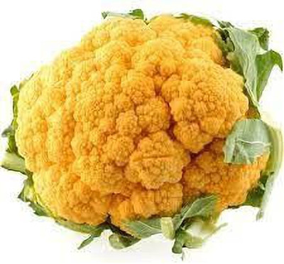 Aywal Cauliflower|Phol Gobhi Hybrid F1 Seeds for Home Gardening Seed(15 per packet)