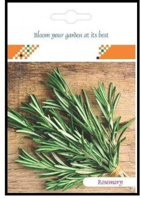 CYBEXIS Rosemary Hybrid Seeds800 Seeds Seed(800 per packet)