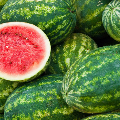 Qualtivate Fresh Sagar Watermelon F1 Hybrid Quality Seed(100 per packet)
