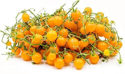 ENINE Tomato Seed(200 per packet)