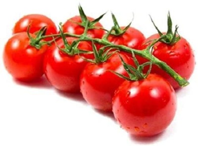 Farmers Choice Hybrid Tomato / Tamatar Seeds Seed(130 per packet)