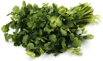 ZIXA Coriander Herb vegetable Seed(100 per packet)