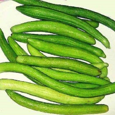 VibeX XLL-52 - Hybrid Cucumber Kakri - Long Melon - (150 Seeds) Seed(150 per packet)