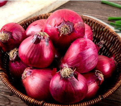 HYBRID 500g n53 onion seeds highest yields Seed(1 per packet)