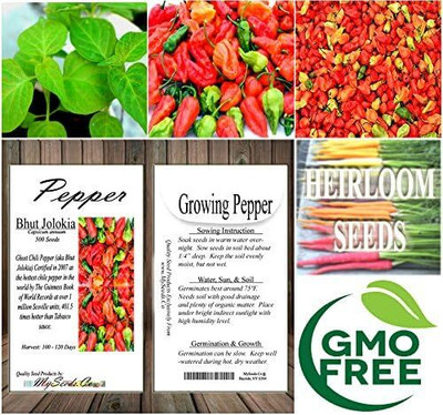 Qualtivate RES-2A Bhut Jolokia Ghost Pepper Chilli Seed(300 per packet)