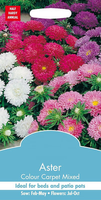 CYBEXIS Flower - Aster Colour Carpet Mixed Seed(50 per packet)